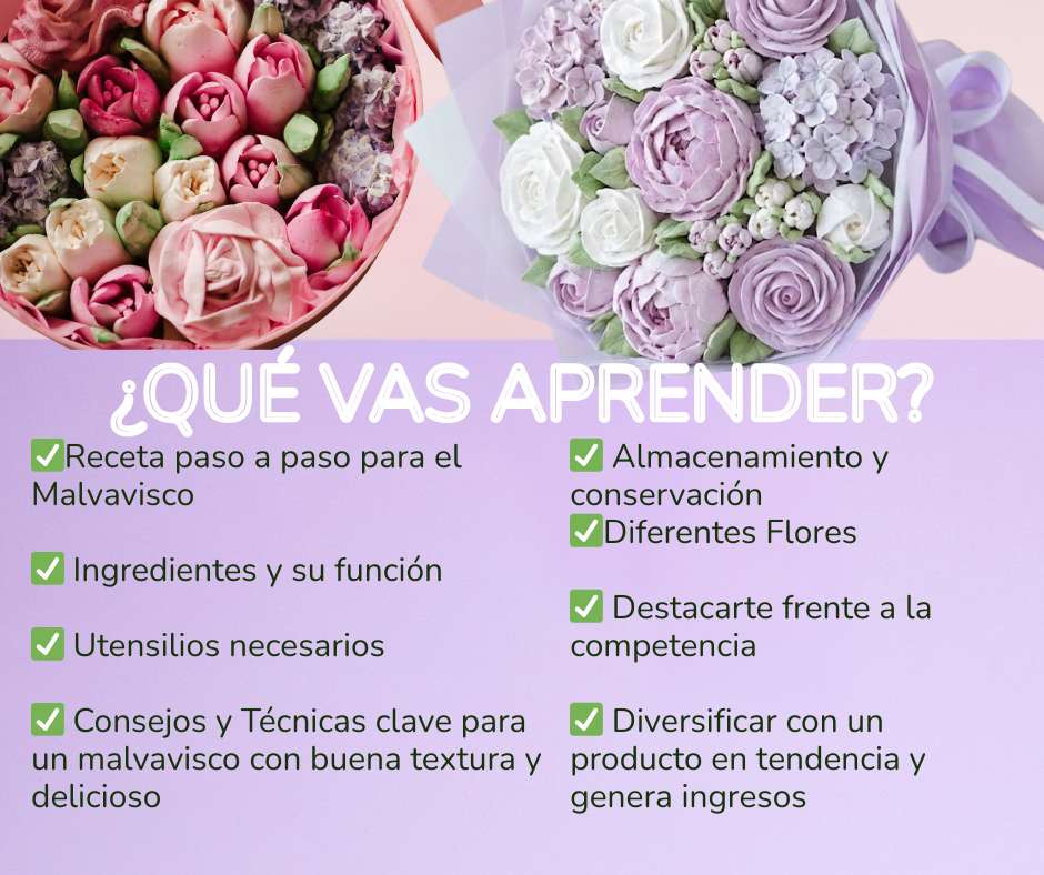 apnder-co